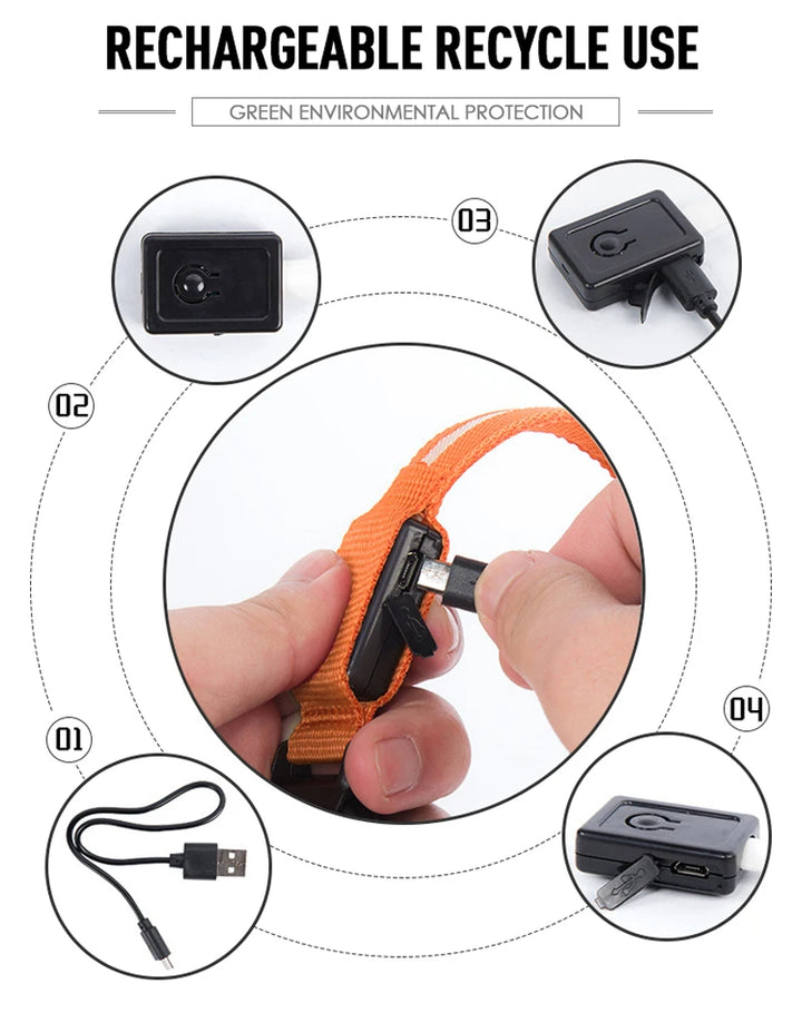 Hundehalsband leuchtend und aufladbar