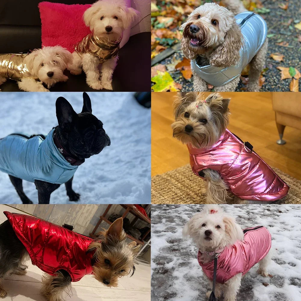 Hundejacke für den Winter wasserfest