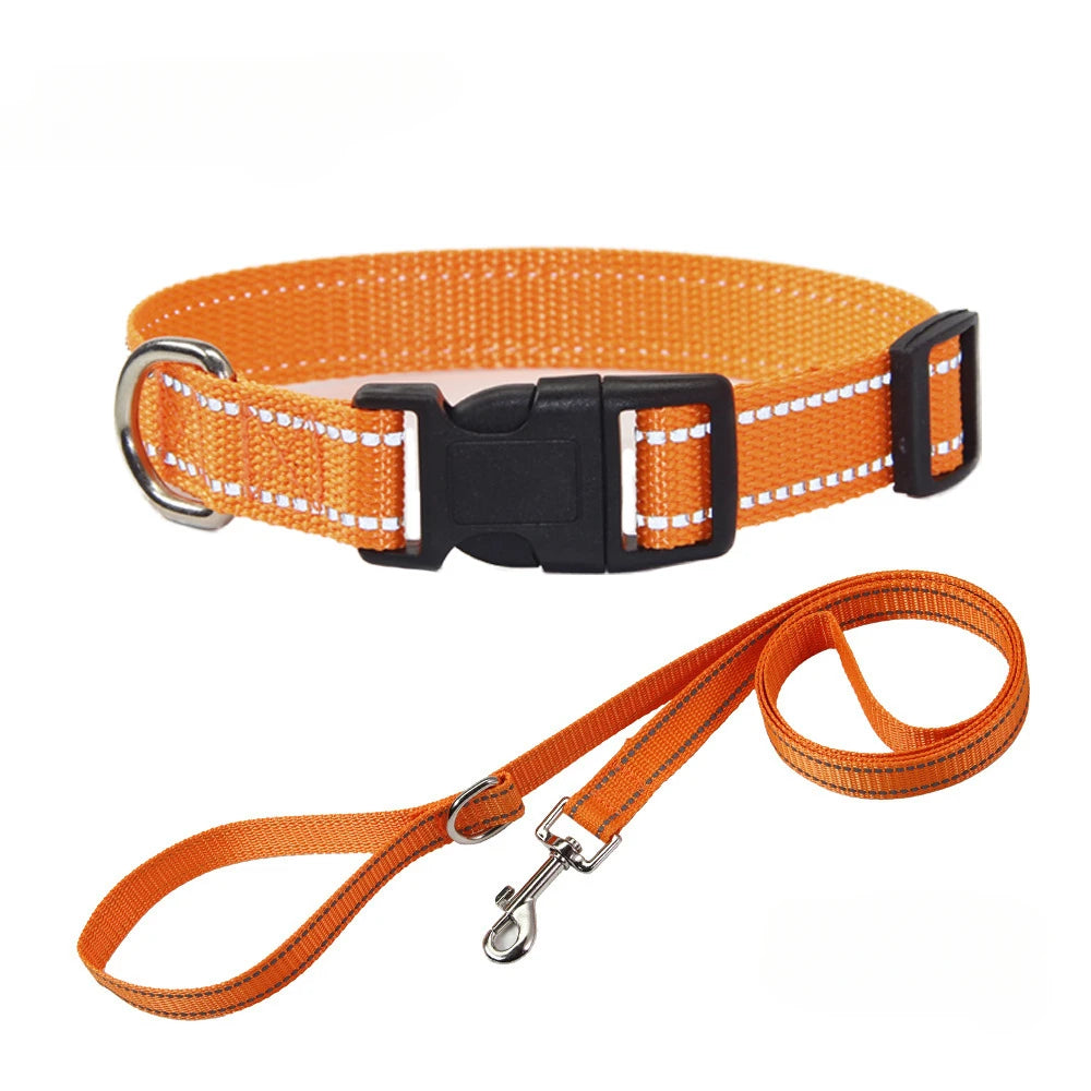 Hundehalsband aus Nylon