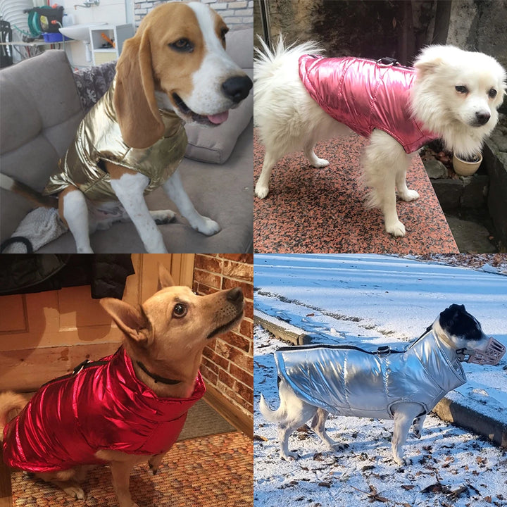 Hundejacke für den Winter wasserfest